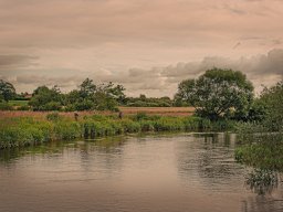 IMGP6102-1_Skjern Aa